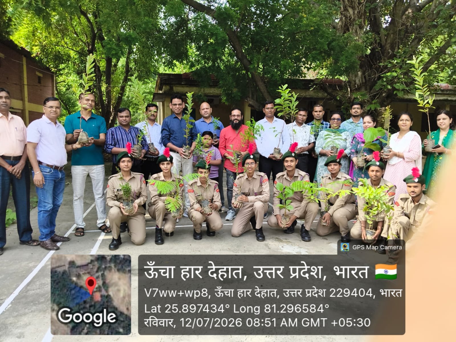 Plantation. Programme 